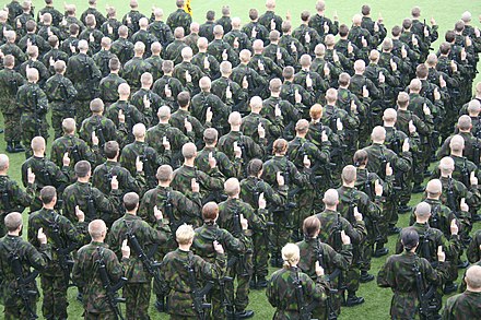 Finnish conscripts swearing their military oath at the end of their basic training period