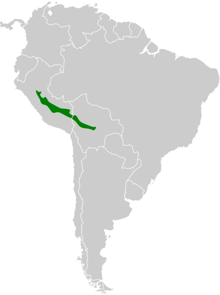 File:Synallaxis cabanisi map.svg