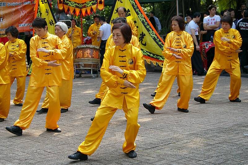 File:Tai Chi Chuan at Kung Fu Corner, Kowloon Park, Hong Kong, 20091004 1040 6904.jpg