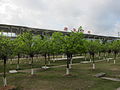 Tangjiawan Railway Station with several trees