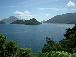 Tarakaipa Island im Pelorus Sound