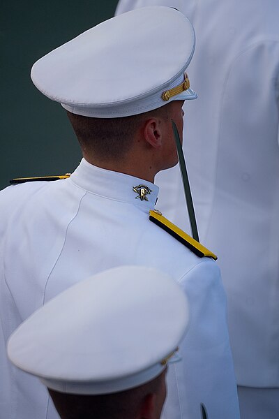 File:Texas A&M University Ross Volunteers 2.jpg