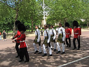 Guardia Del Rey Carlos Iii Del Reino Unido