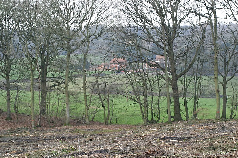 File:The path to the pub - geograph.org.uk - 2332360.jpg