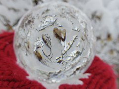 Through the lens ball - frost-covered trees (2020-12-01 14.59.01 by Kaarina Dillabough).jpg