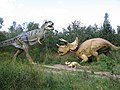 Eine Nachbildung eines Triceratops und seines Jungen beim Kampf mit einem Tyrannosaurus Rex. Solche Nachbildungen findet man in einigen Dinosaurierparks.
