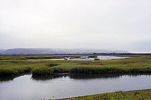 The Tijuana River Estuary.