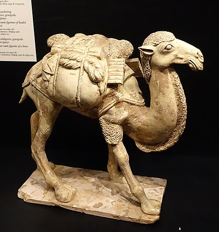 Camel Wikiwand