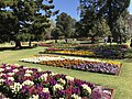 Flowers – Queens Park Botanic Gardens 2017