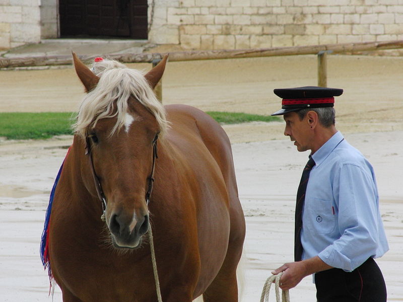 File:Trait comtois cluny103.jpg