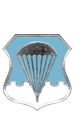 Air Force Basic Parachutist Badge