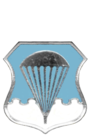 Air Force Basic Parachutist Badge