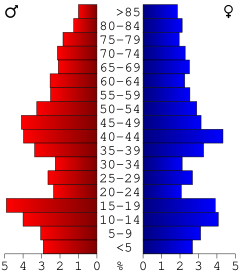 Age pyramid of county residents based on 2000 census data