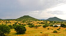 Upland savannah near Pietermaritzburg. Upland South Africa Savanna.jpg