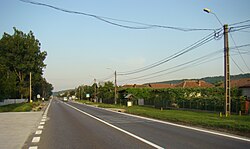 Skyline of Valja Ursuluj