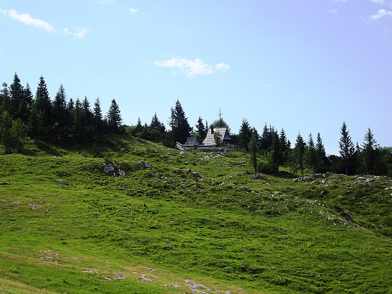 File:Velika Planina, pod sedežnico (2).jpg