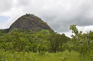 Montagne dans la forêt de Fazao