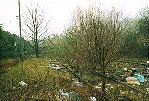 Wednesbury Town railway station 2003.jpg