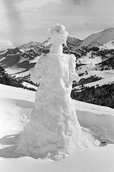 File:Wilhelm Walther, Winter, Allgäu, 1-01-02-7315.tif