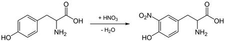 Příklad xantoproteinové reakce, nitrace tyrosinu