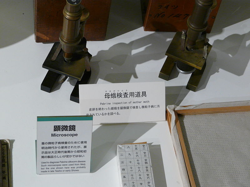 File:Yokohama Silk Museum 012.JPG