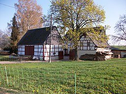 Hohlweg in Seelitz