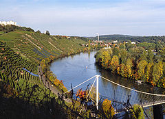 Vineyards on the Neckar river in the Mühlhausen area of Stuttgart during the Autumn of 2006