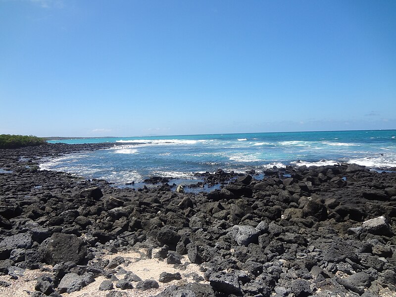 File:(Tortuga Bay) Santa Cruz Island, volcanic rocks and the Pacific Ocean at Tortuga Bay.JPG