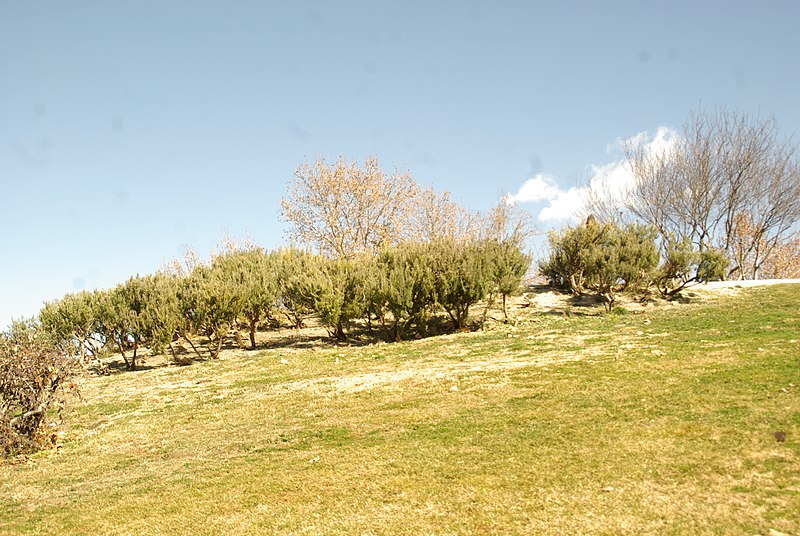 File:® S.D. MADRID PARQUE TIERNO GALVAN - COLINA ACCESO SUR - panoramio (14).jpg