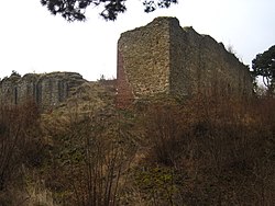Zřícenina hradu Šelenburk (Cvilín)