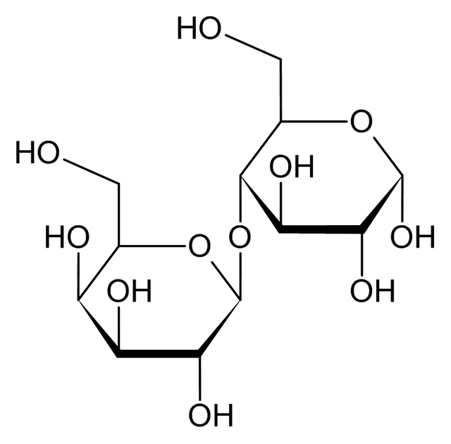 lactose structure diagram