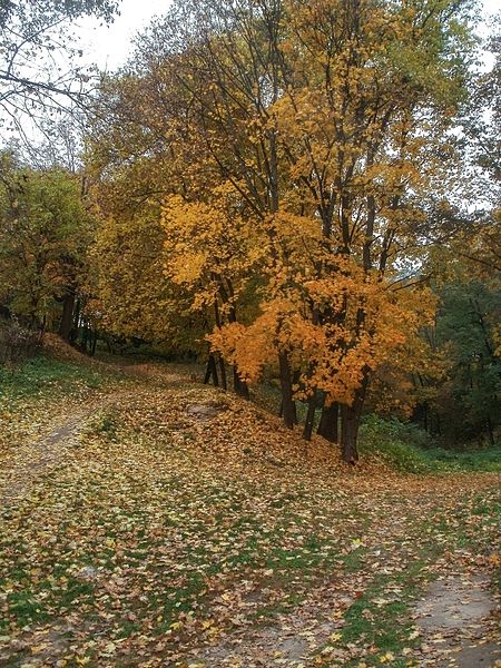 File:Болдина гора. Чернігів. Осінь.JPG