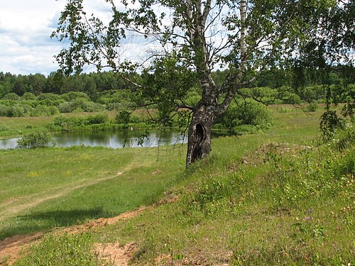 Красный урень. Река уста Нижегородская область. Уста (река) реки Нижегородской области. Река уста Урень. Река Урень Нижегородская.