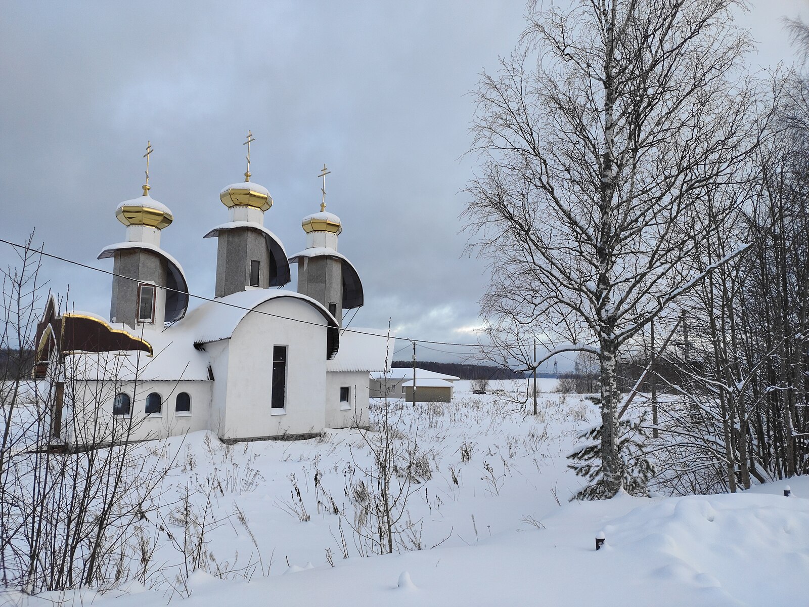 Никольские поля