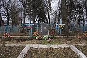 Могили воїнів Червоної Армії (5), село Воскодавинці.jpg