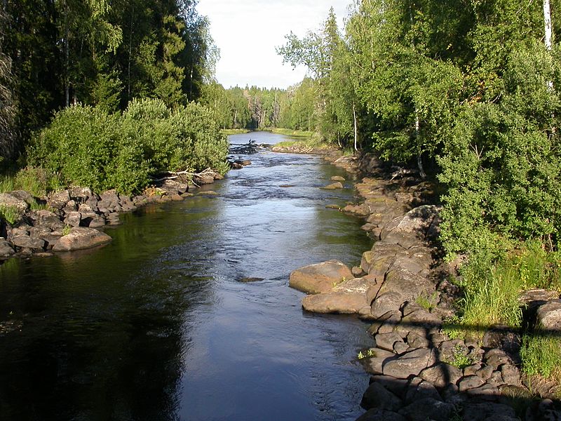 File:Р. Сухая Водла - panoramio.jpg