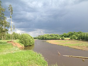 Течение Боровки рядом с пос. Колтубановский