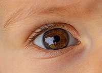 Rank: 8 Eye of a child