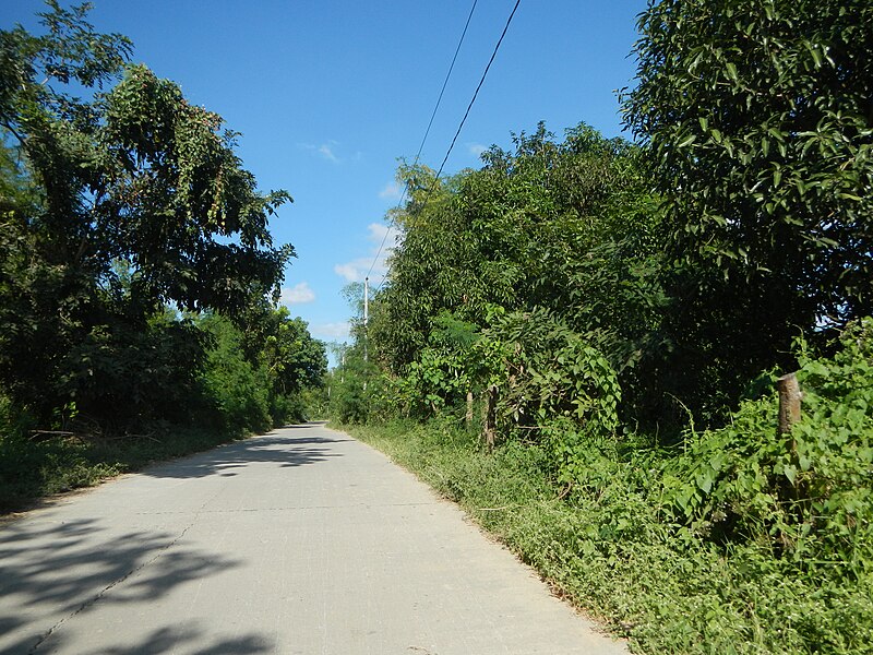 File:04897jfBuas Poblacion Gulap Santo Road Bridge Candaba Pampangafvf 11.JPG