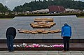 wikimedia_commons=File:1008 - Nordkorea 2015 - Pjöngjang - Friedhof der Märtyrer (22976338125).jpg