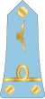 11. Madagascar Air Force-1LT.svg