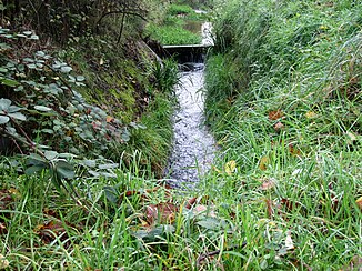 Alfterer Bornheimer Bach (Görresbach) in Alfter