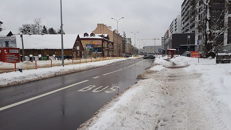 File:20210130 132143 January 2021 in Białystok.jpg