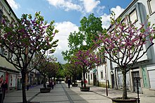 tourist map of braga