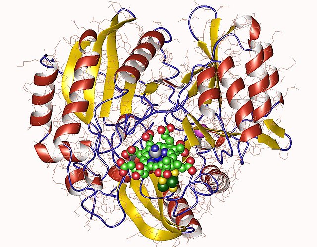 Sulfite reductase (NADPH) - Wikipedia 
