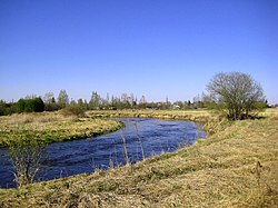 6593.1. Izhora River in Kommunar.jpg