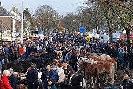 Bommelerwaard: Geografie, Geschiedenis, Bestuurlijke indeling