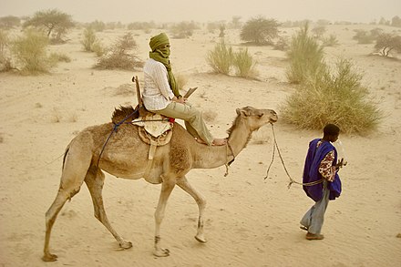 A camel ride in the Sahara desert, outside Timbuktu