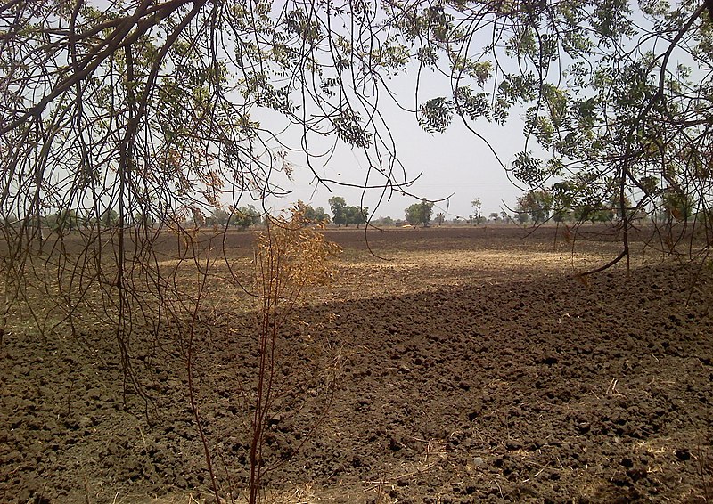 File:A farm waiting for rain, note black regur soil - panoramio.jpg