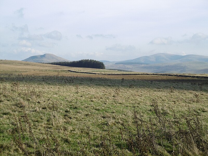 File:A field by Dere Street - geograph.org.uk - 4967070.jpg